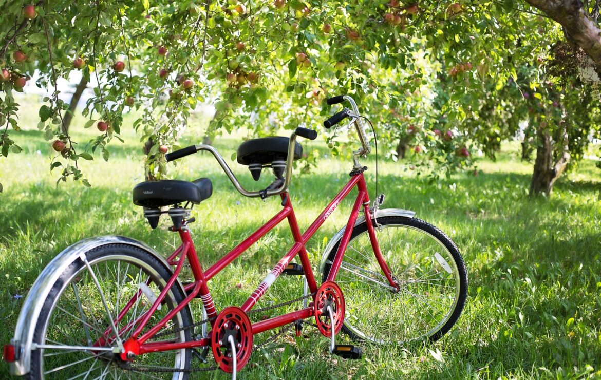 Bicicleta lui Dumnezeu