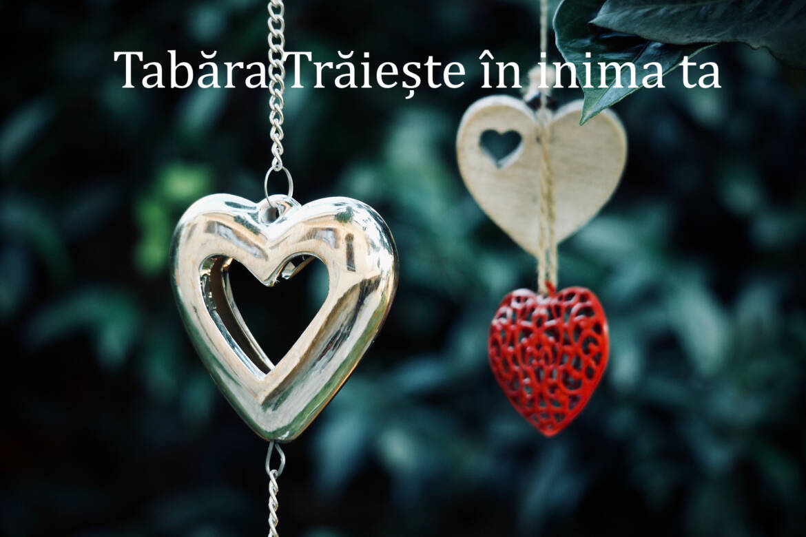 heart_tabara.jpg